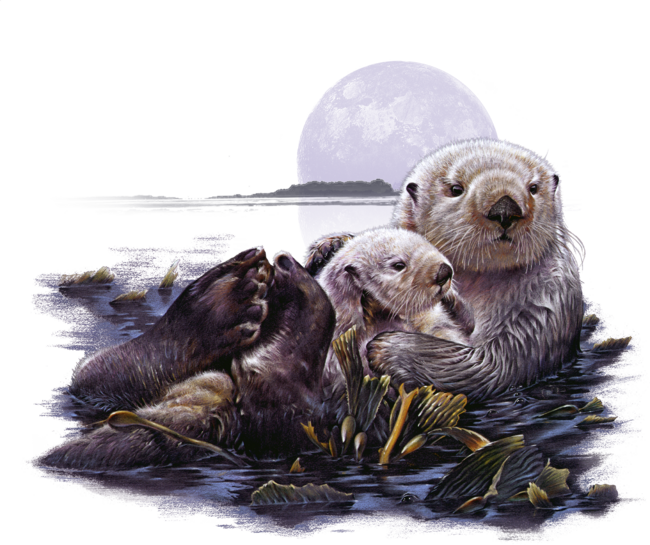 Otter Mom