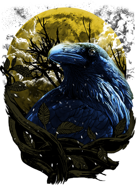 Night Crow by irvingp