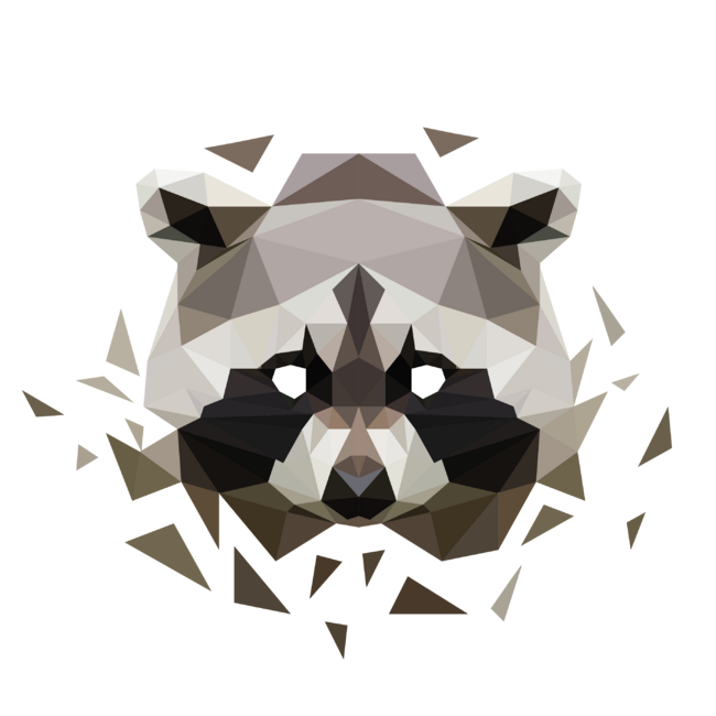 Geometric Raccoon by abbysinthe