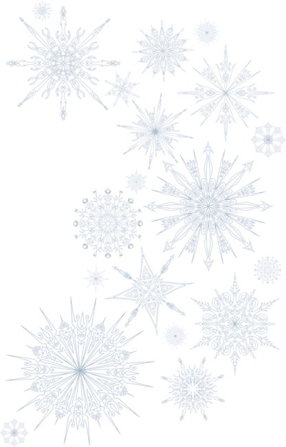 Snowflake Bouquet