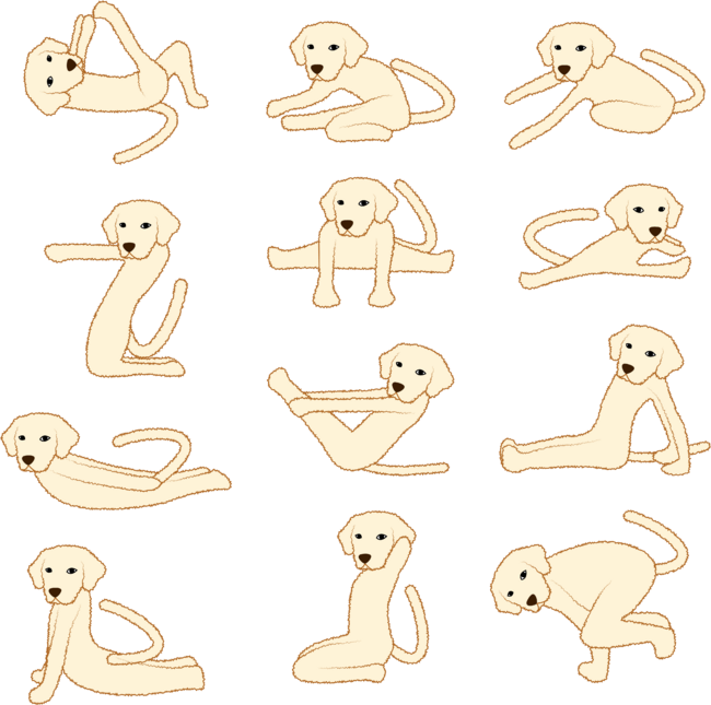 Dogs Doing Yoga Sports Animal Lover Funny Gift by Saltpepper