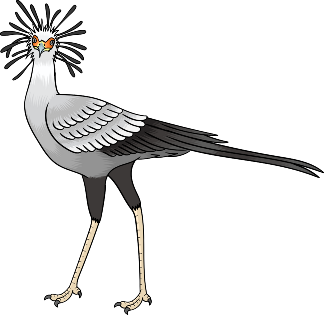 Secretary bird cartoon illustration