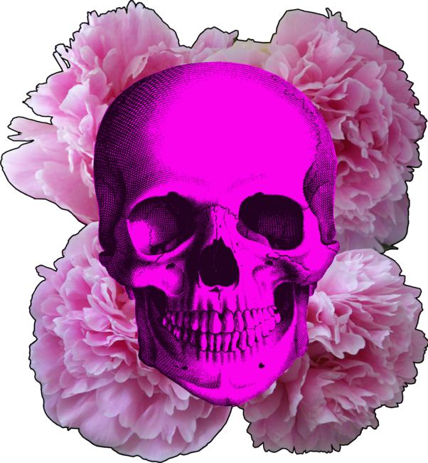 Pink skull with flowers