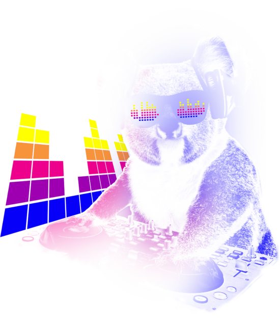 DJ Koala