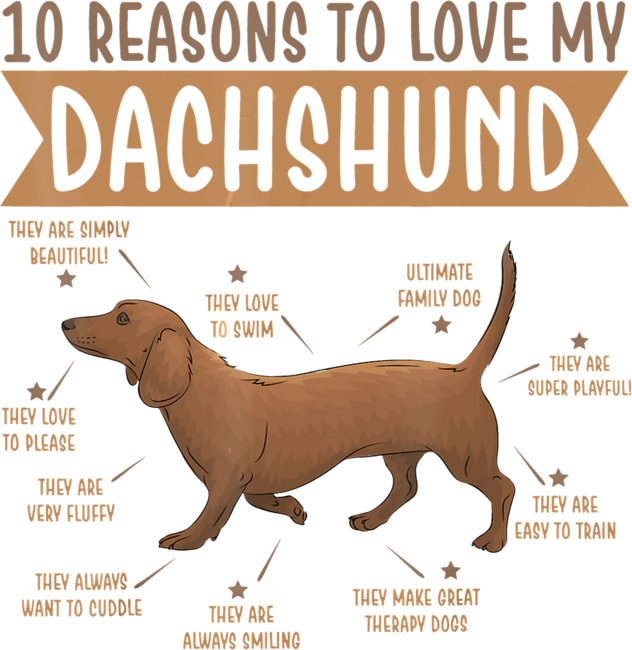 10 Reasons To Love Dachshund Best Dog Ownerlovers
