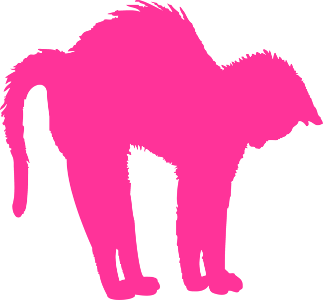 Pink Arched Cat VDS2