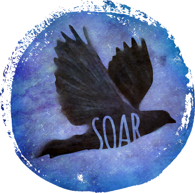 SOAR - crow/raven in flight