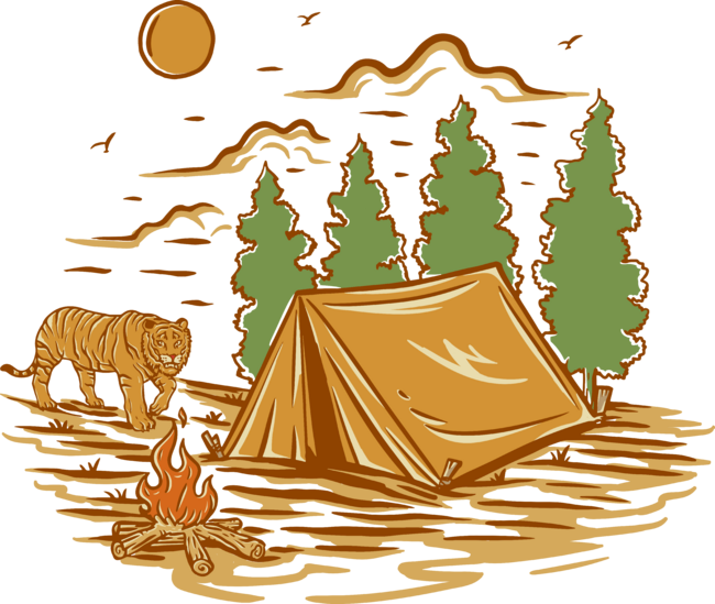 Wild Camping