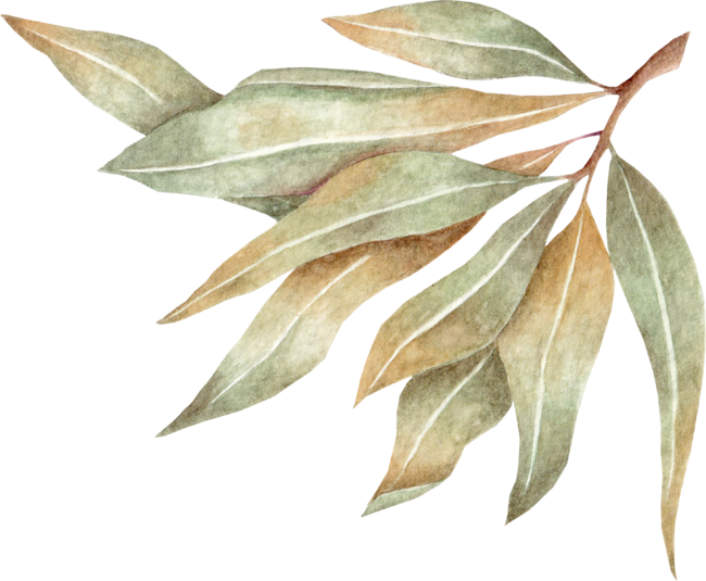 Green leaves 2