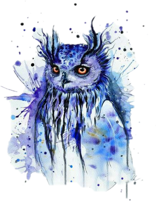 Nature Owl Drawing Watercolor Painting  Art