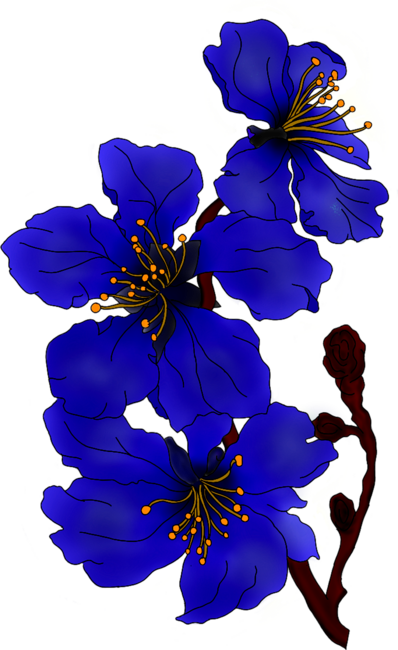 Royal blue magnolia