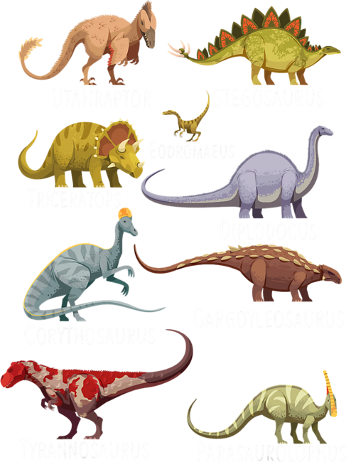 Types of Dinosaurs by Titanrose