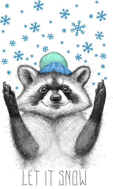 Christmas raccoon