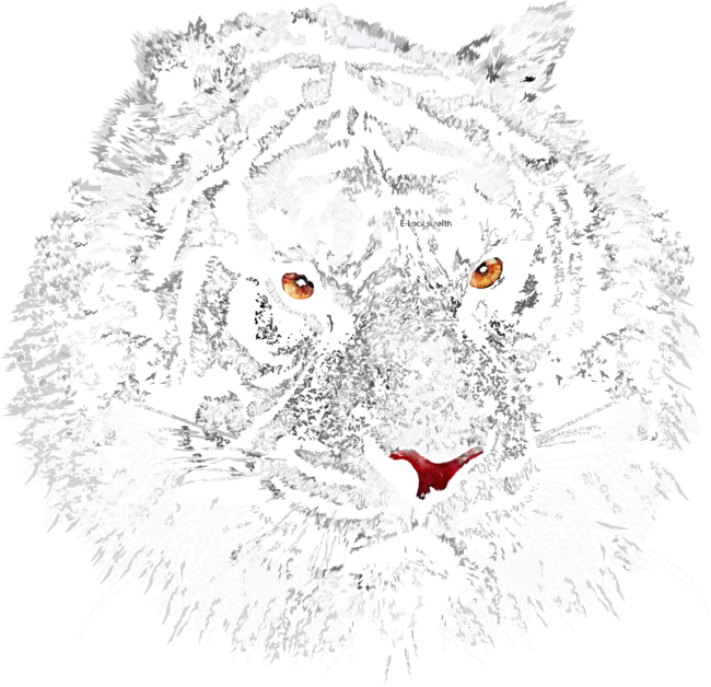 white tiger by ThreeSecond
