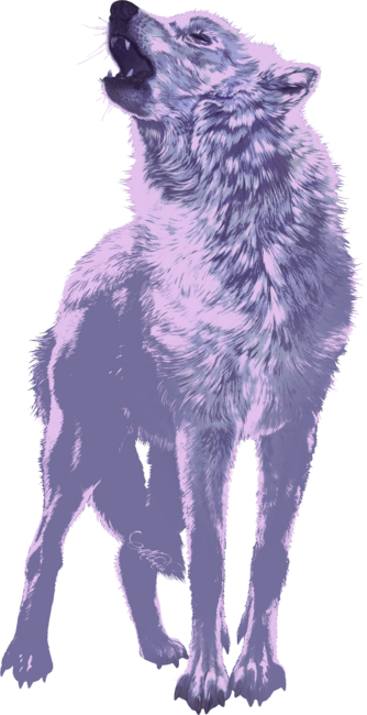 Lone Wolf Howling Purple