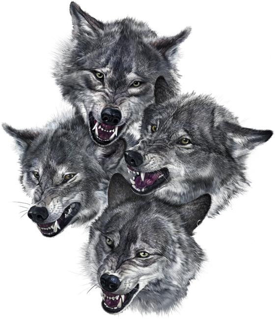 Fierce Wolf Pack