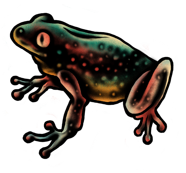 Leopard frog by barmalizer