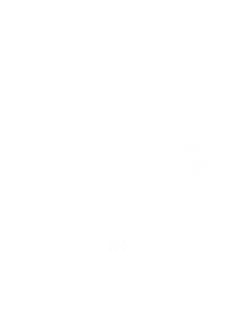 Dragon in the Clouds (white)