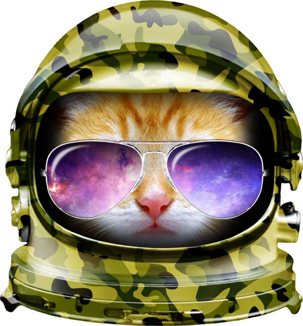 Kitty in Space Green Camo by tonydesign