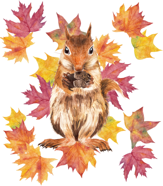 Autumn squirrel