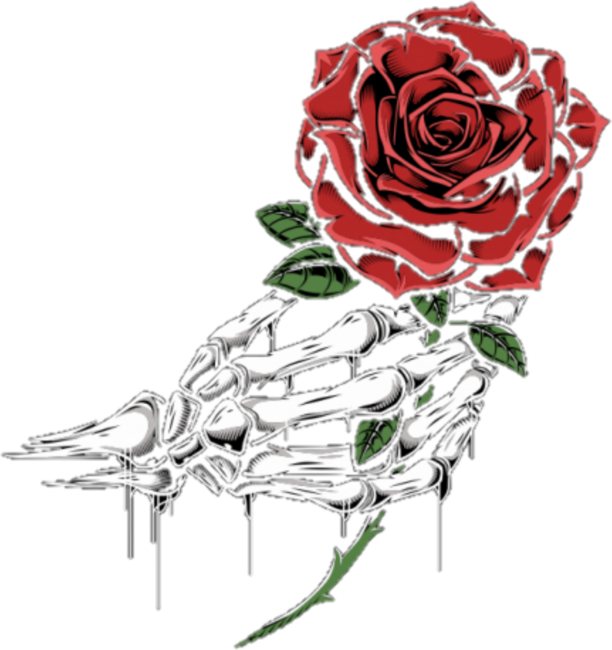 Bone hand holding a rose by Metavera