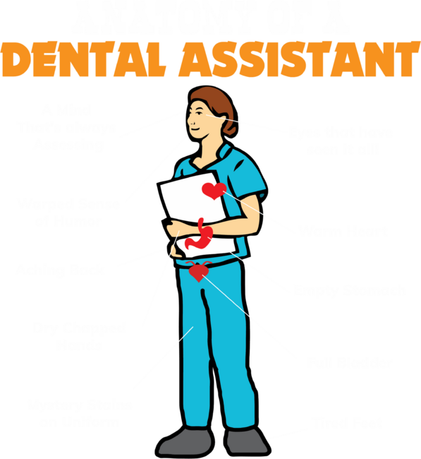 Anatomy of a Dental Assistant