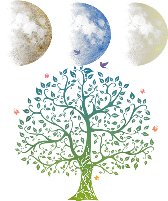 Beautiful moon with Tree Moonlit Grove Symphony by ninetieskids