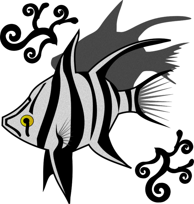 White Fish with Black Stripes the Old Wife