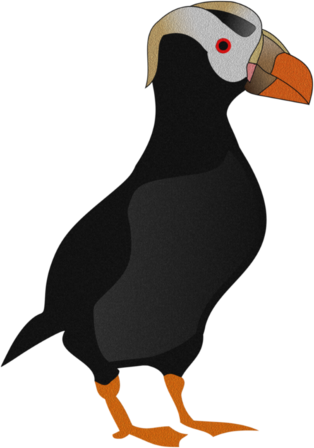 Cute Illustrated Crested Puffin Bird