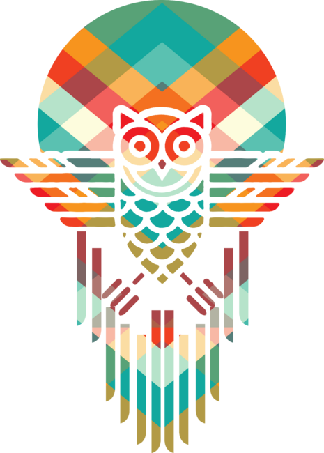 colorful owl by daviditali