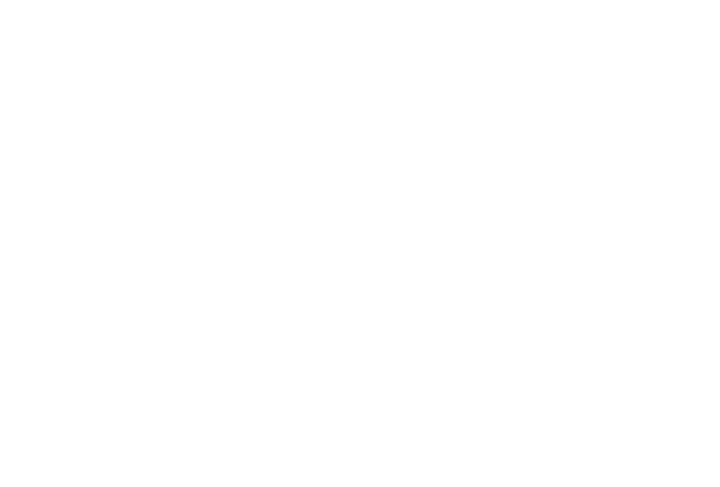 Professional fantasy football player