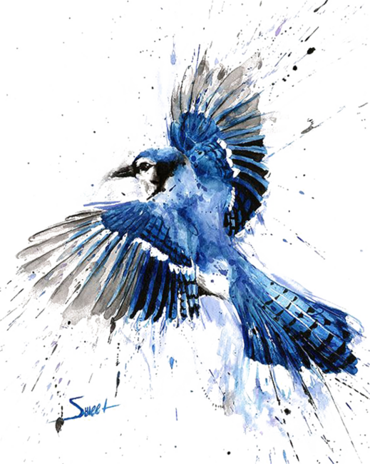 Bird Blue Jay Watercolor Painting Art