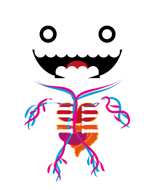 Skully Boy (The Anatomical)