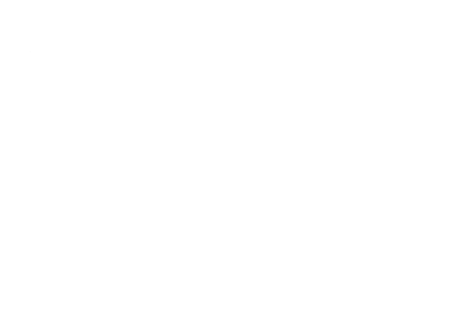 Vintage biker print winged skull