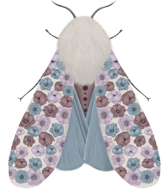 Flower's moth