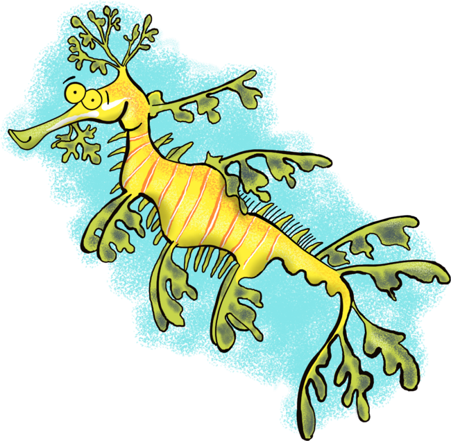 Cute funny leafy sea dragon cartoon illustration