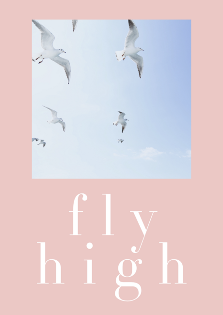 fly high- nature photography