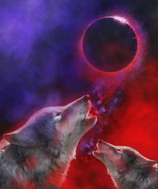 Wolves howling moon