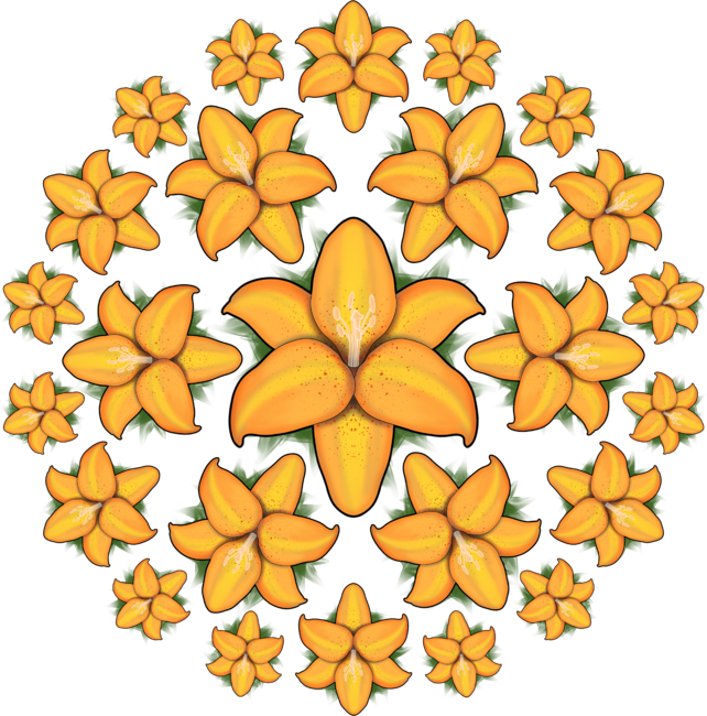 Tiger lilies arranged in a circle with green leaves