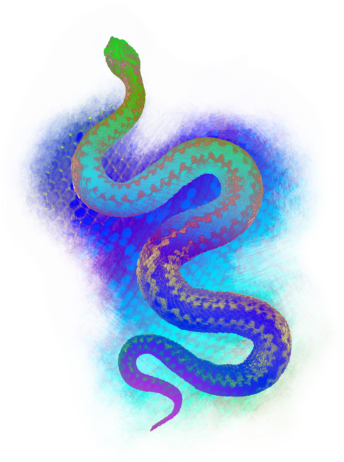 Vibrant Snake over a Snakeskin Texture