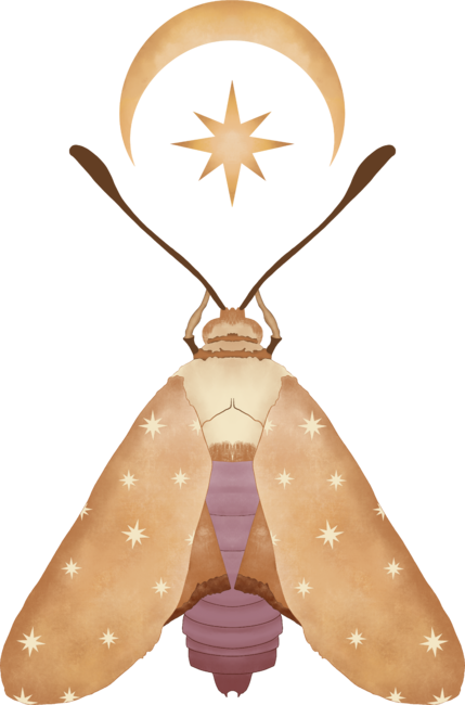 Magic moth