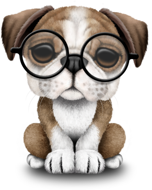 Cute British Bulldog Puppy Wearing Glasses