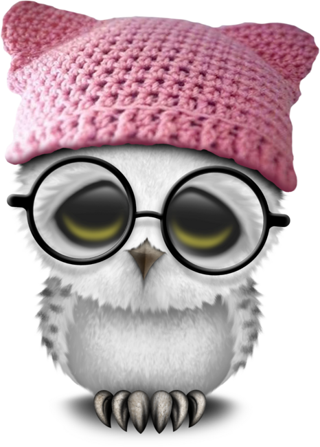 Nerdy Baby Owl Wearing Pussy Hat by jeffbartels