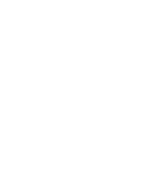 Clone Punk