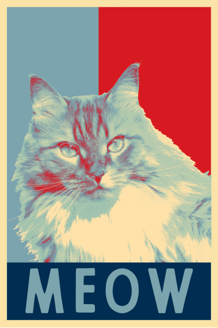 Cat For President