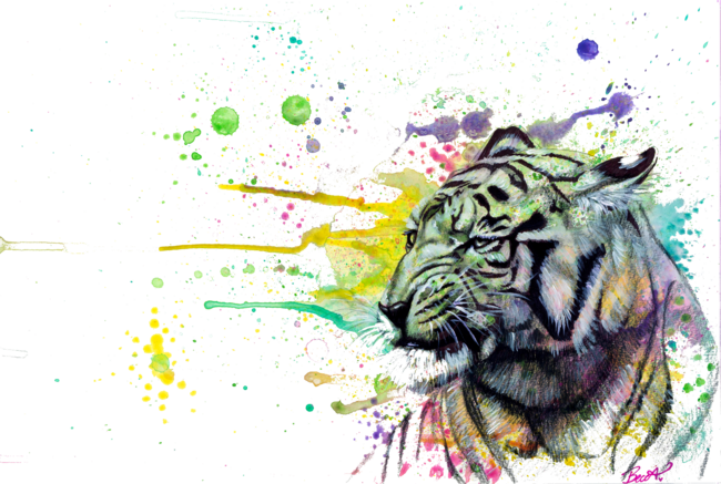 Color Splash Tiger by BeccaDouglasArt