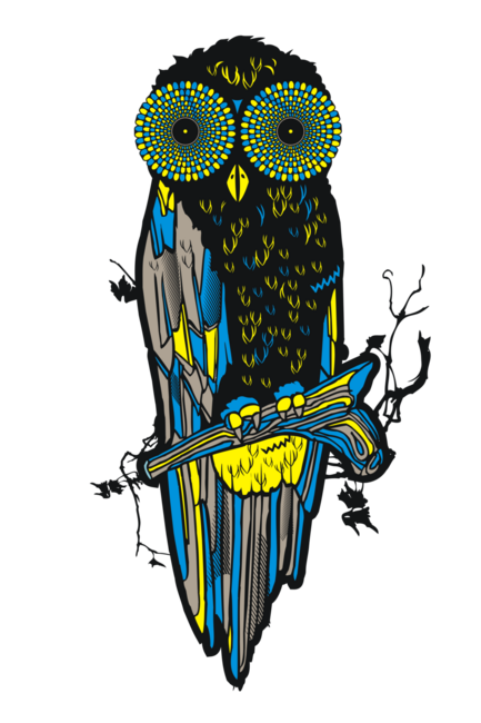 Owl Hipnotist by afrar