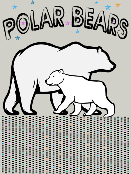 POLAR BEARS