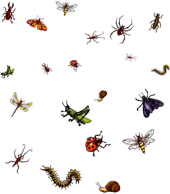 easily distracted by bugs