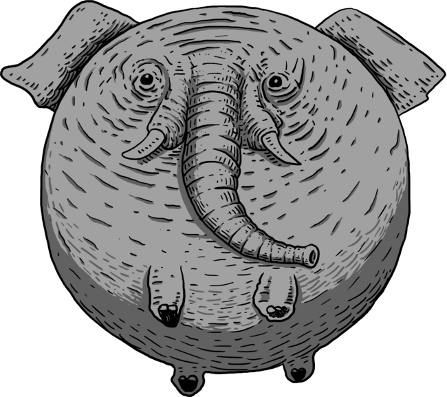 fat elephant